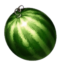 Symbol Watermelon